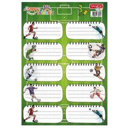 Etichete scolare 10 buc./set, 75x40 mm, Tanex, motiv Fotbal