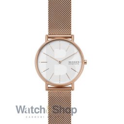 Skagen Signatur Slim SKW2784 SKW2784