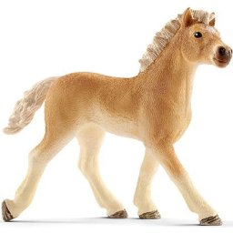 Figure Foal Haflinger Horse Club Red