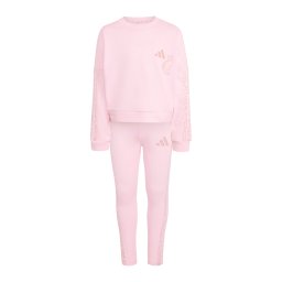 ADIDAS SPORTSWEAR Costum de trening rosé / roz pudră / roz pal