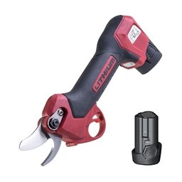 Raider - RD-PSH01 - Foarfeca de gradina pentru crengi cu 2 acumulatori si incarcator, Li-Ion, 12 V, 2 Ah, 25 mm