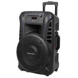Boxa portabila UHF 12 INCH Negru