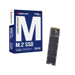 SSD SSD Biostar M760 256GB