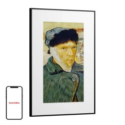 Rama Foto Digitala SwitchBot AI Art Frame 31.5Inch Ecran ePaper Color Rezolutie 2560x1440 Wi-Fi 2.4GHz BT 4.2