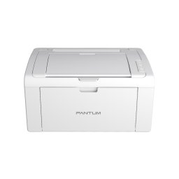 Imprimanta laser monocrom Pantum P2509W, Wireless, A4, Gri