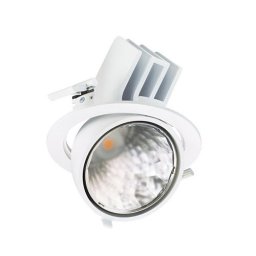 Spot LED Philips, alb, 4000 K, pentru iluminat profesional
