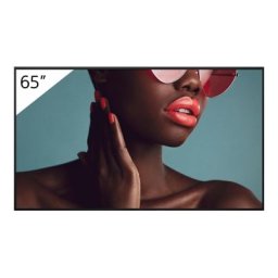 Display Profesional Sony BRAVIA FW-65BZ40L | 65 inch, 4K UHD, Digital Signage