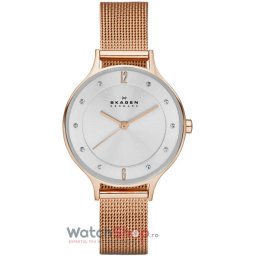 Skagen STEEL SKW2151 SKW2151