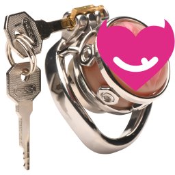 Master Series Pussy Boy Metal Chastity Cage
