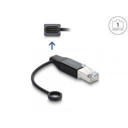 Adaptor retea RJ45 Gigabit LAN la USB type C T-M negru, Delock 61101