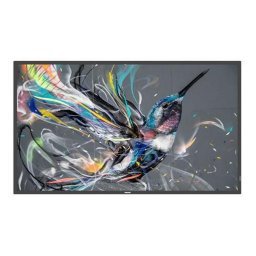 Monitor LED 50BDL3511Q/00, 50", 3840 x 2160 pixeli, Negru