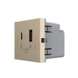 Modul priza USB-A + USB-C Livolo 36W, auriu, serie noua