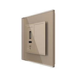 Priza USB-A si USB-C Livolo 20W cu rama din sticla, auriu