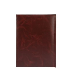 Album foto clasic maro pentru 100 poze 10x15, cu etichete pentru notite