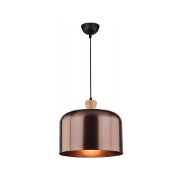 Lustră pe cablu DICTORIA 1xE27/40W/230V