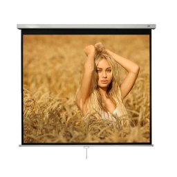 Ecran de proiectie Manual Blackmount 1/1MN240 240 x 240cm White