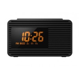 Aparat de Radio FM cu Ceas Panasonic RC-800EG-K Negru
