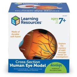 Jucarie Educativa Learning Resources Ochiul