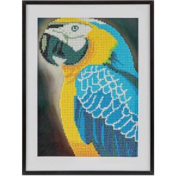 Set creativ cu diamante rotunde Grafix Diamond Painting 30x40cm Papagal
