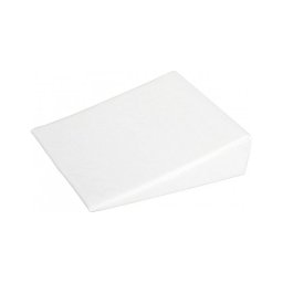 Perna Inclinata Bubaba White