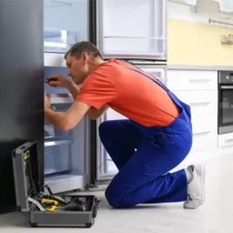 Talon Serviciu Depanero Schimbare Sens Usi Frigider/Combina Fara Kit