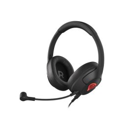 Casti Genesis Radon 800