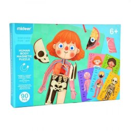 Set Magnetic Mideer Corpul Uman 6ani+ Multicolor
