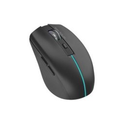 Mouse Serioux Flicker 212 USB Wireless 1600DPI Negru