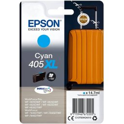 Cartus Inkjet Epson 19 ml Cyan