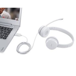 Casti Lenovo GXD1E71385 USB Type-A Gri