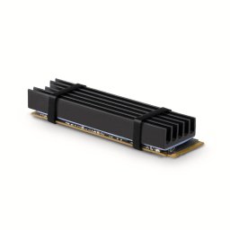 Cooler Pasiv AXAGON CLR-M2L10 pentru M.2 SSD Suport SSD 80MM Aluminiu Paduri Termice din Silicon Incluse Inatime 10MM Negru