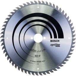 Panza Bosch 250mm