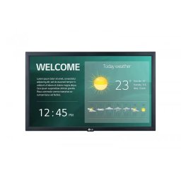 Monitor IPS LED LG 22SM3G-B 21.5inch Full HD 1920x1080px HDMI Boxe Negru