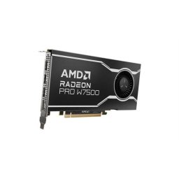 Placa Video AMD Radeon Pro W7500 8GB Retail