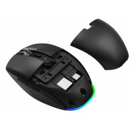 Mouse Serioux RGB 1600DPI Negru