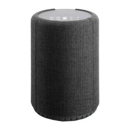 Boxa Wireless AudioPro A10 Multiroom Bluetooth Gri Inchis