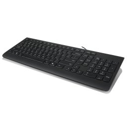 Tastatura Standard cu Fir Lenovo 300 USB Layout US English Negru