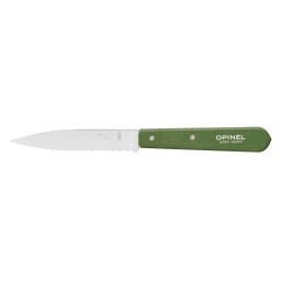 Cutit cu Lama Serata Opinel NÂ°113 Inox 10cm Les Essentiels Green