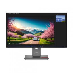 Monitor Lenovo 31.5inch ThinkVision P32UD-40 UHD 3840 x 2160 HDMI DisplayPort Pivot 120Hz 4ms Negru