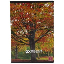 Caiet Scolar PIGNA A5 80 file Dictando