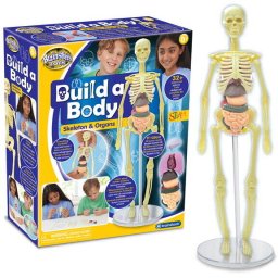Jucarie Educativa Brainstorm Macheta corpului uman 28cm +8 ani
