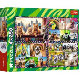 Puzzle 4x250 piese animale amuzante