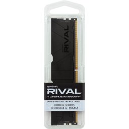 Memorie Rival Deep Black 8GB(1* 8)/3600 CL18 memory module 1 x 8 GB 3600 MT/s 288-pin DIMM