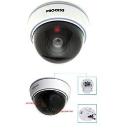 Camera de supraveghere falsa tip dome pentru interior, DS-1500B