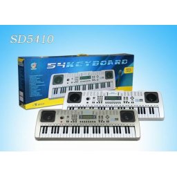 Orga profesionala cu microfon si USB inclus SD5410