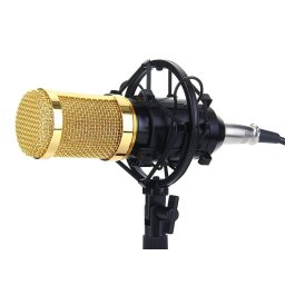 Microfon profesional de Studio si Karaoke cu condensator,BM-800