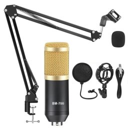 Microfon profesional de Studio Condenser BM-700, inclus brat flexibil cu menghina