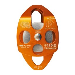 Scripete Kong Twin