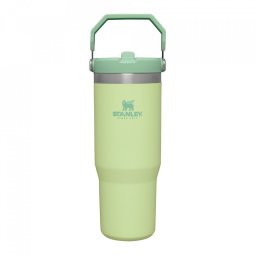 Stanley - termos tip sticla cu pai - Flip Straw Tumbler - Citron - 890 ml