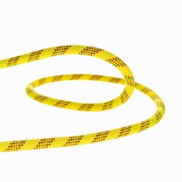 Coarda dinamica Beal Antidote 10,2 mm